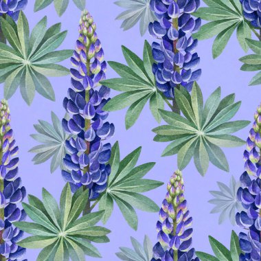 Vahşi lupines suluboya resimler. Seamless modeli