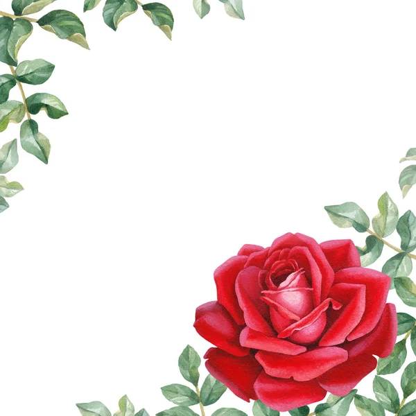 Aquarell Illustration Einer Rosenblume Perfekt Für Grußkarten Oder Einladungen — Stockfoto