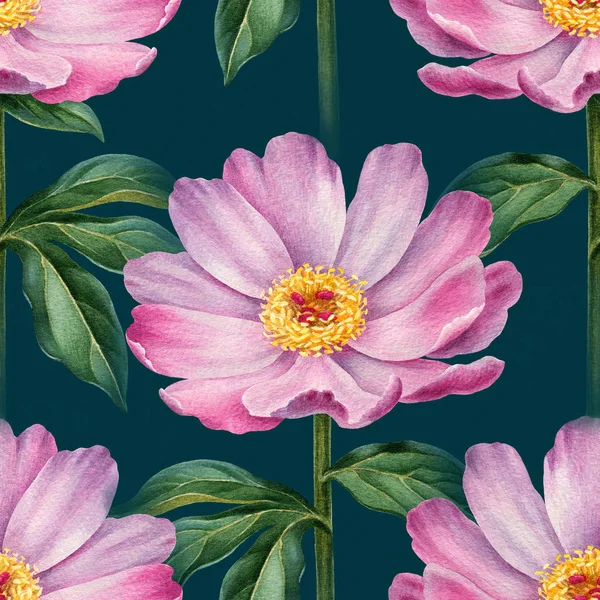 Watercolor Peony Flowers Illustration Seamless Pattern — Stock Photo, Image