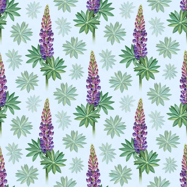 Lupines 水彩插图 无缝模式 — 图库照片