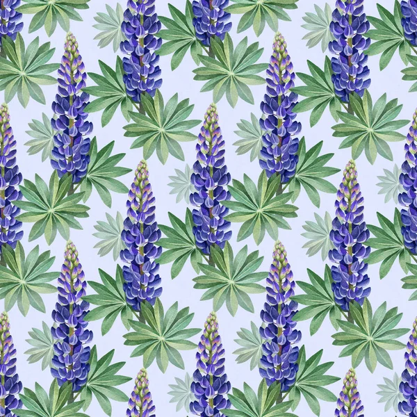 Illustrations Aquarelles Lupins Sauvages Modèle Sans Couture — Photo