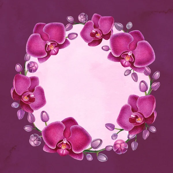 Orquídeas de acuarela púrpura —  Fotos de Stock