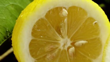 Limon yarım kesilmiş. Kamera soldan sağa taşır..