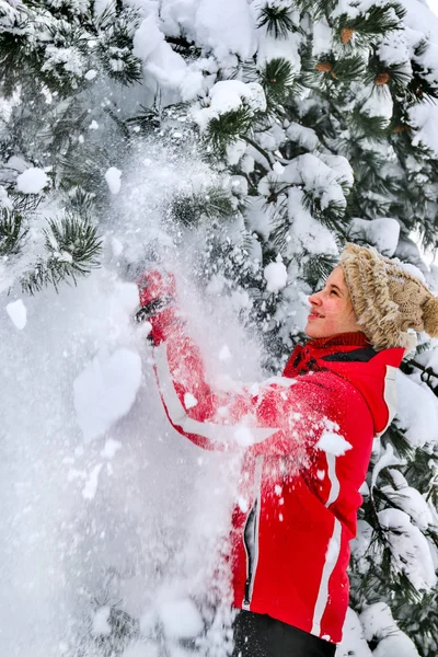 Menina vestindo roupas de inverno sacode de ramos de árvores . — Fotografia de Stock