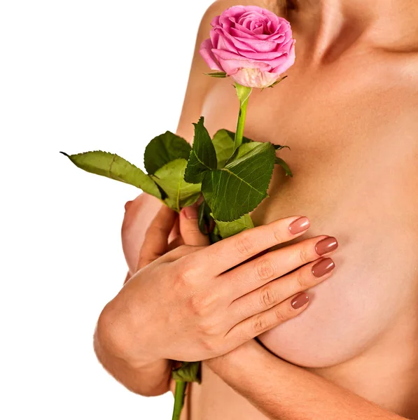 Brustvergrößerung Frau nackt und rosa Rose Blume. — Stockfoto