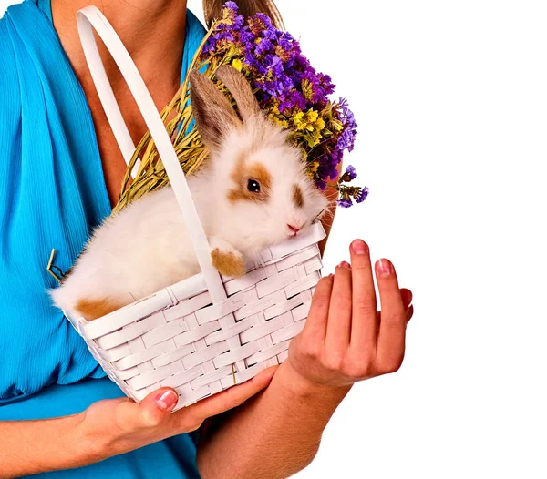 Conejito de huevo de Pascua en las manos de la mujer y flores en cesta . —  Fotos de Stock