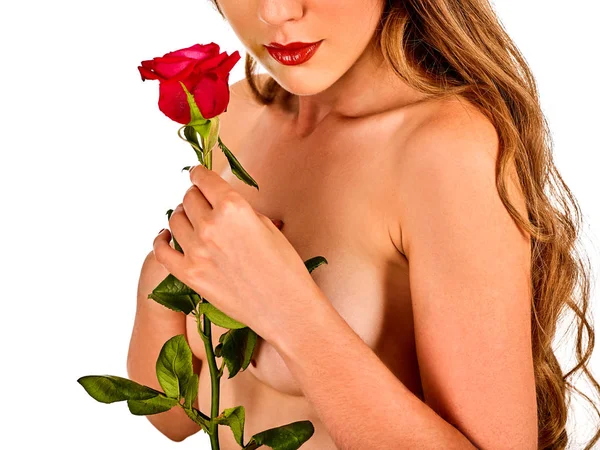 Breasts woman nude and pink rose flower. Health and skin care concept. — Stock Photo, Image