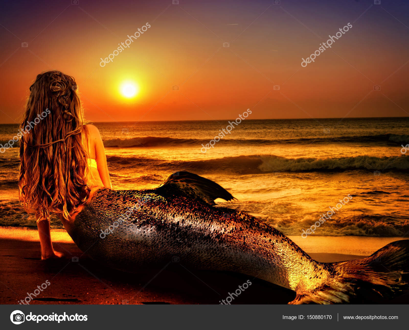 女性人魚の夢海の砂浜のビーチ 妖精の女の子 ストック写真 C Poznyakov 女性人魚の夢海の砂浜のビーチ 妖精の女の子 ストック写真 C Poznyakov