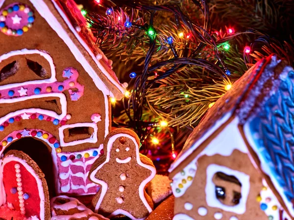 Zencefil Ekmek evleri ile Noel çelenk. — Stok fotoğraf