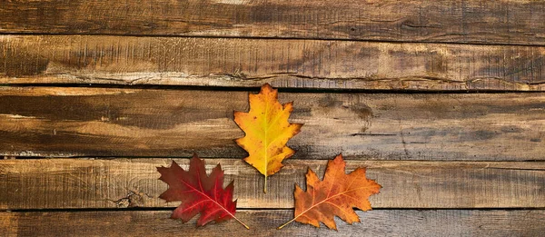 Jesienne liście na drewnianym stole — Zdjęcie stockowe