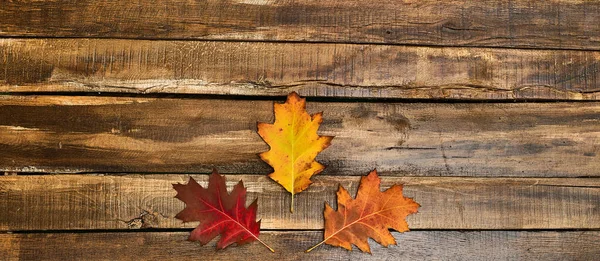 Hojas de otoño sobre mesa de madera — Foto de Stock