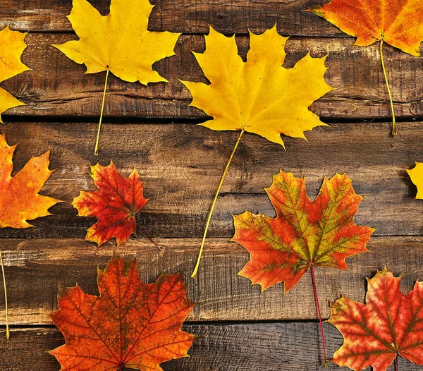 Feuilles d'automne fond sur table en bois — Photo