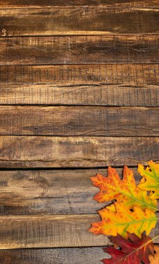 Sonbaharda akçaağaç ahşap masanın üzerine bırakır.