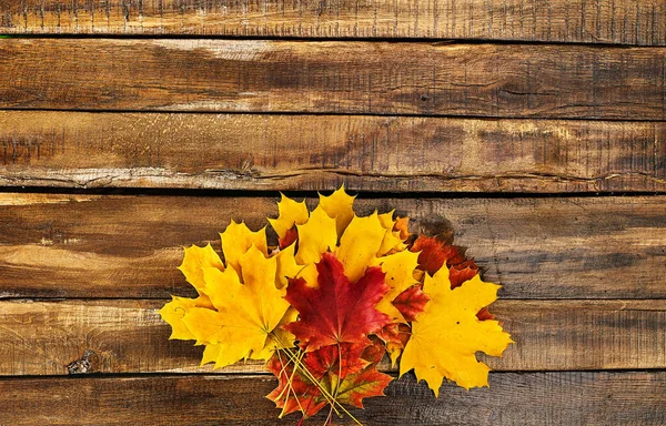 Herfst esdoorn bladeren boeket horizontaal frame — Stockfoto