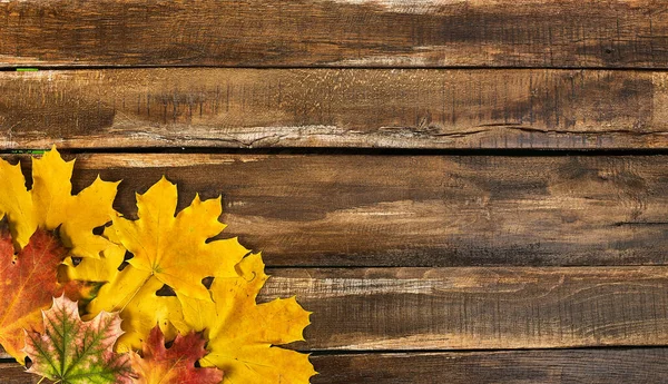 Herbst-Ahornblätter auf Holztisch — Stockfoto