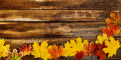 Autumn maple leaves on top view wooden boards. Horizontal frame