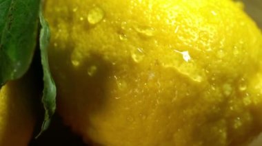 Limon ahşap kurullarında yaprakları ile.