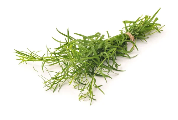 Bunch of fresh tarragon herbs — Stock Photo, Image