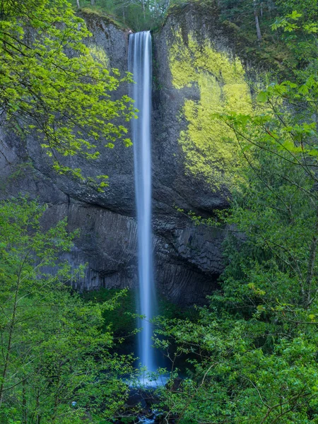 Latourell falls bakış açısı — Stok fotoğraf