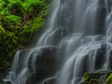 Peri Falls Culumbia River Gorge kadar kapatın