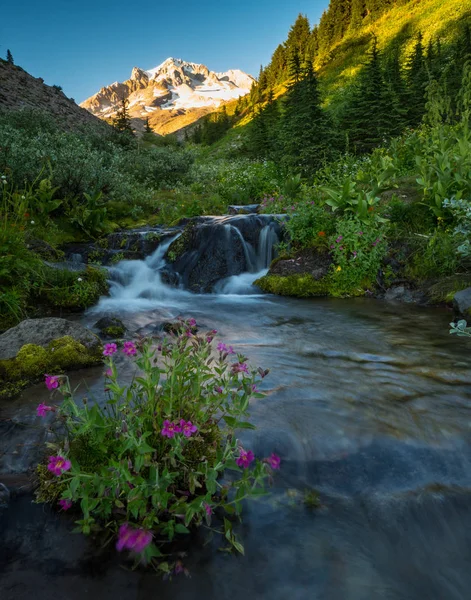 Alpine stream from Mt. Hood — Stock Photo, Image