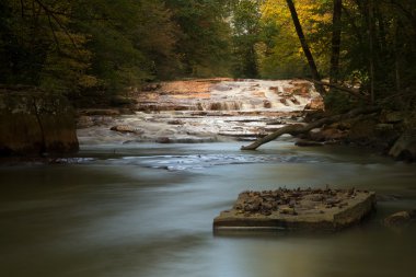 Muddy Creek Albright Wv yakınındaki şelale