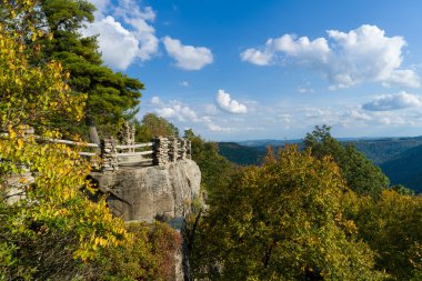 Coopers Rock devlet orman Wv görüntüleme platformu