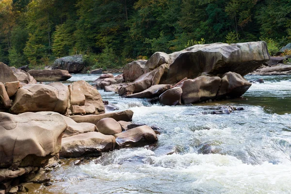 View of Cheat River rapids near Albright — Stock Photo, Image