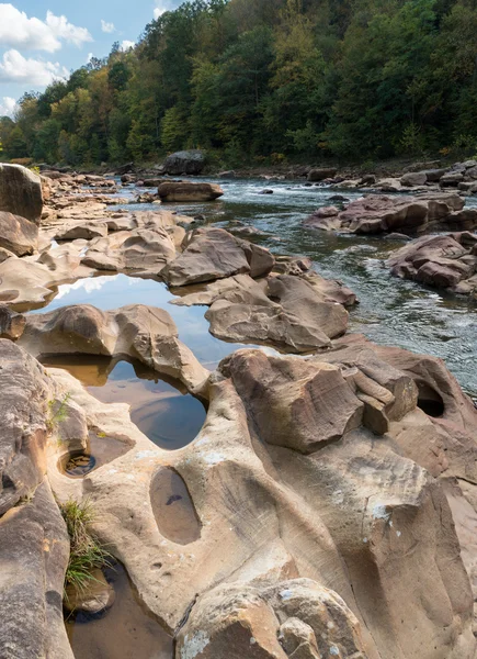 View of Cheat River rapids near Albright — Stock Photo, Image