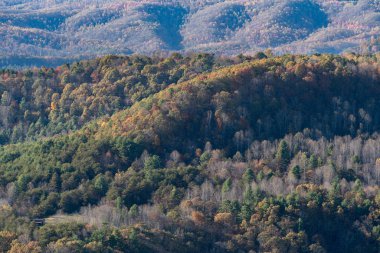 Pipestem Parkı'ndan Appalachian tepeler haddeleme