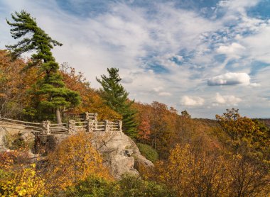 Coopers Rock devlet orman Wv görüntüleme platformu