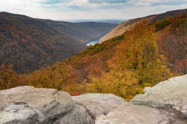 Coopers Rock State Park Wv, ormandaki sonbahar renkleri