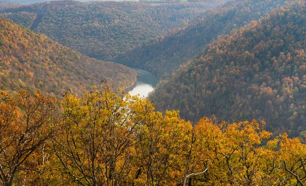 Plataforma de visualização no Coopers Rock State Forest WV — Fotografia de Stock