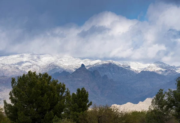 Storm by Saguaro National Park Tucson — Stock Photo, Image