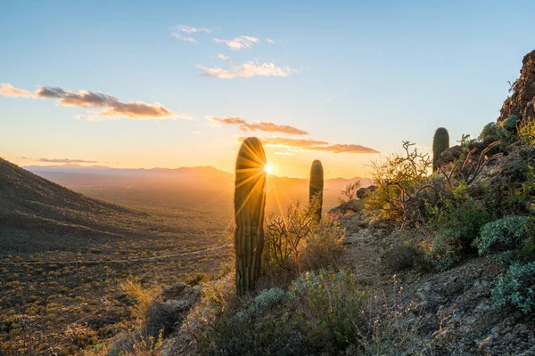 Pôr do sol no Parque Nacional Saguaro Oeste — Fotografia de Stock