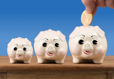 Raf üzerinde küçük orta ve büyük domuzcuk bankalar