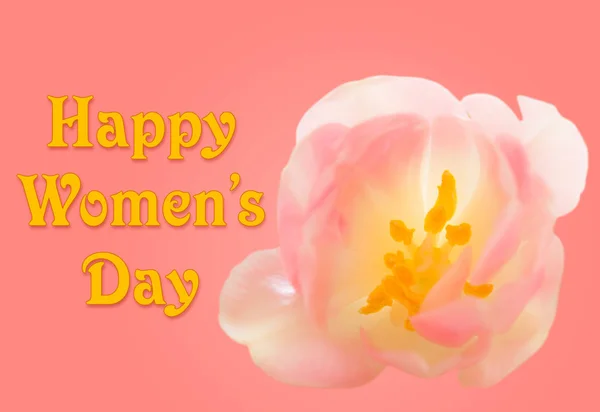 Fondo feliz día de la mujer con flor de tulipán — Foto de Stock