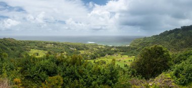 Panoramic view of taro fields near Keanae in Maui clipart