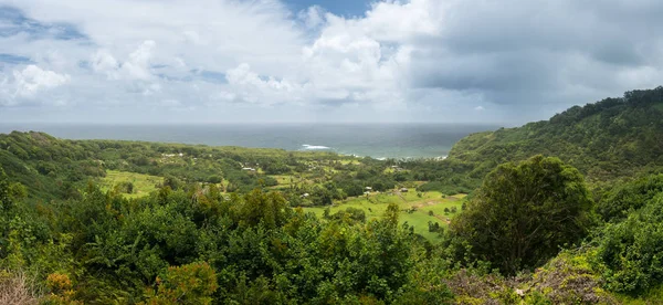 Vista panorâmica de campos de taro perto de Keanae em Maui — Fotografia de Stock