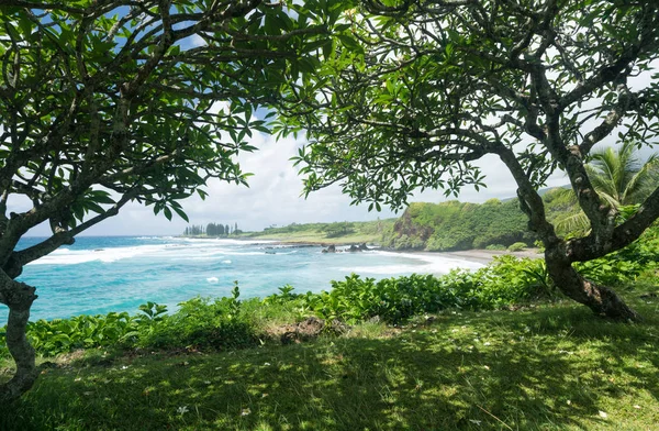 Praia de Hamoa perto de Hana na ilha havaiana de Maui — Fotografia de Stock