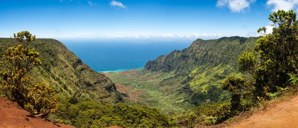 Panorámás kilátás nyílik a Kalalau-völgy Kauai — Stock Fotó