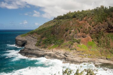 Kuş kutsal Kilauea deniz feneri