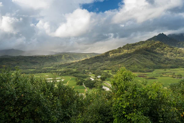 Valle de Hanalei desde Princeville con vistas a Kauai —  Fotos de Stock