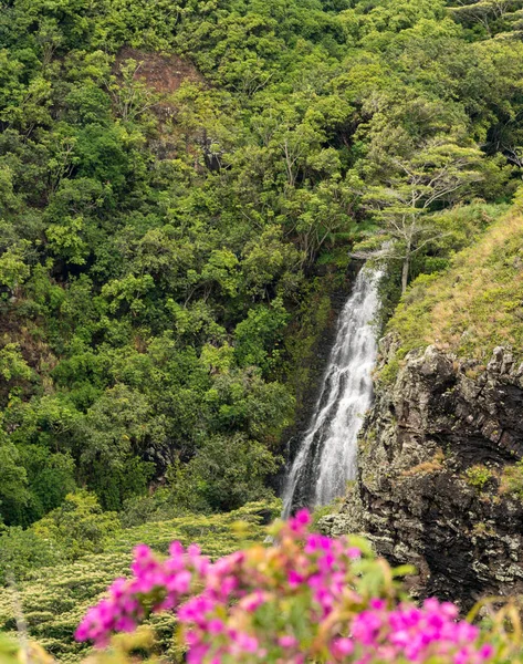 Opaekaa Falls en la isla hawaiana de Kauai — Foto de Stock