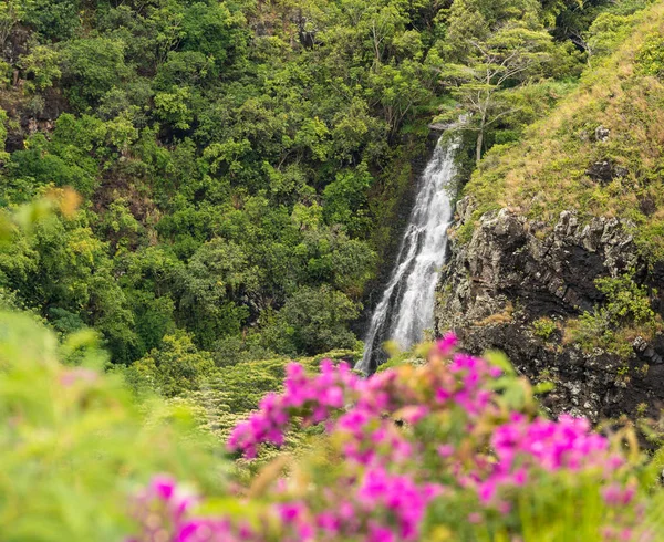 在夏威夷的考艾岛的 Opaekaa 瀑布 — 图库照片