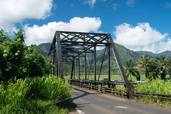Gamla metall balkbro på väg till Hanalei Kauai — Stockfoto