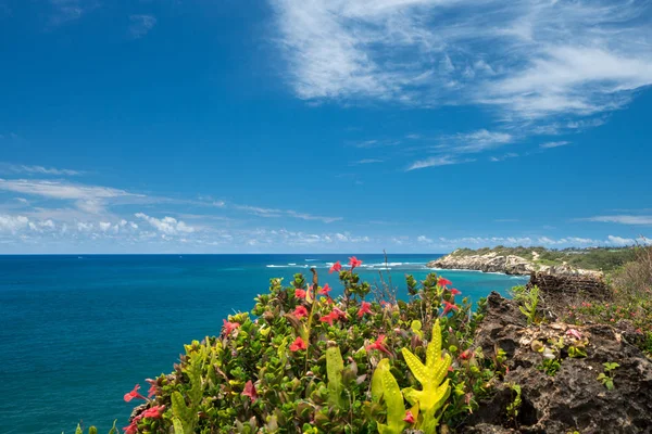 Makawehi blöf ve Poipu Kauai — Stok fotoğraf