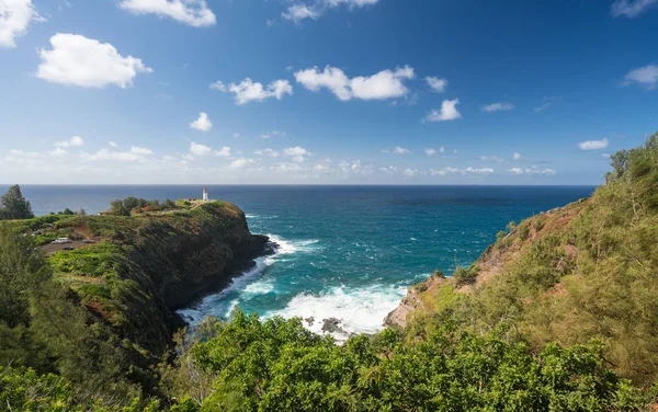 Vogelreservaat op Kilauea vuurtoren — Stockfoto