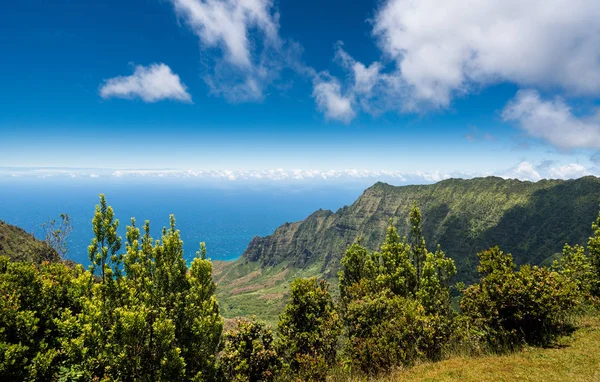 Vista panorámica del valle del Kalalau Kauai —  Fotos de Stock