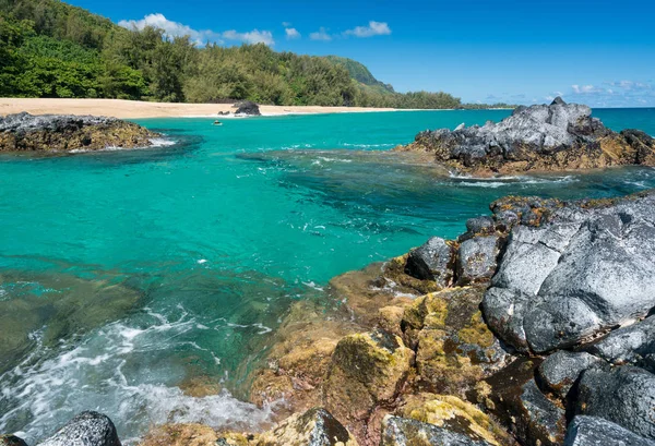 Lumahai Beach Kauai met rotsen en surfer — Stockfoto